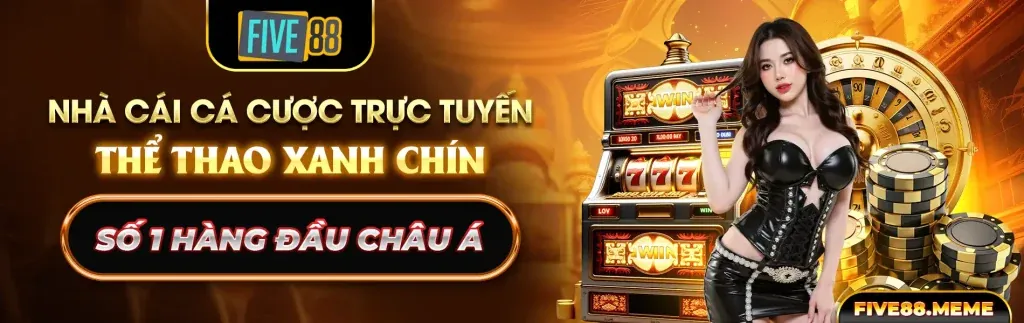 Khu vực câu hỏi thường gặp